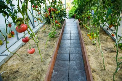 Тротуарная плитка Вена