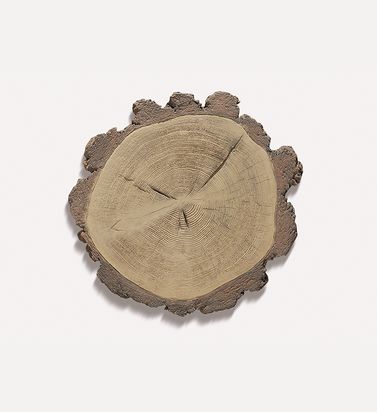 Тротуарная плитка Спил лиственницы